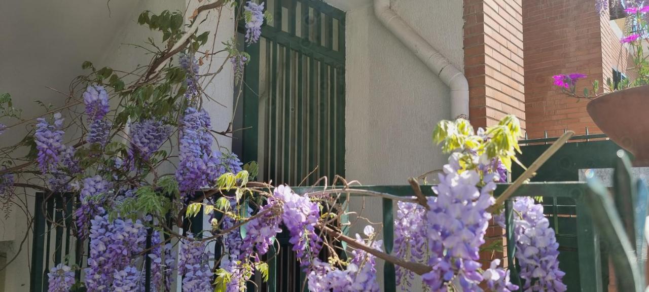 Casadei24 Daire Guidonia Dış mekan fotoğraf